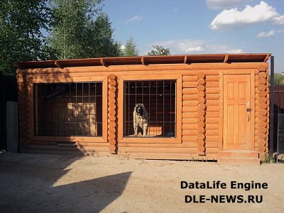 Строим собачий вольер