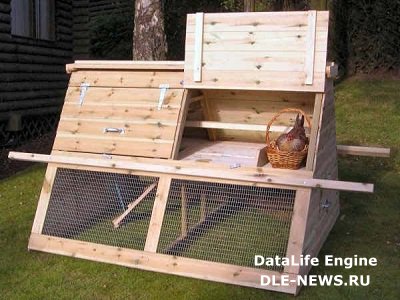 Постройка дачного «особняка для кур»