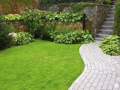 Надежная защита газонной травы