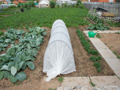 Парник из агроволокна для дачного участка