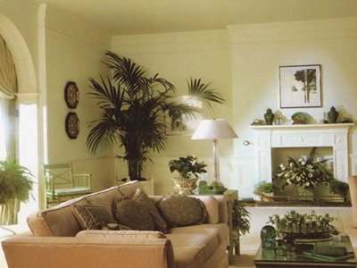 Цветоводство: растения в интерьере