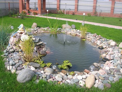 Полезные советы для обустройства пруда с живой рыбой