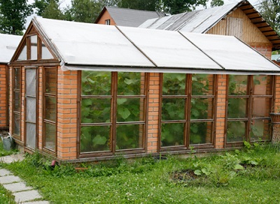 Теплицы и парники на дачном участке