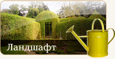 Ландшафтный дизайн
